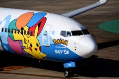 SKY 311