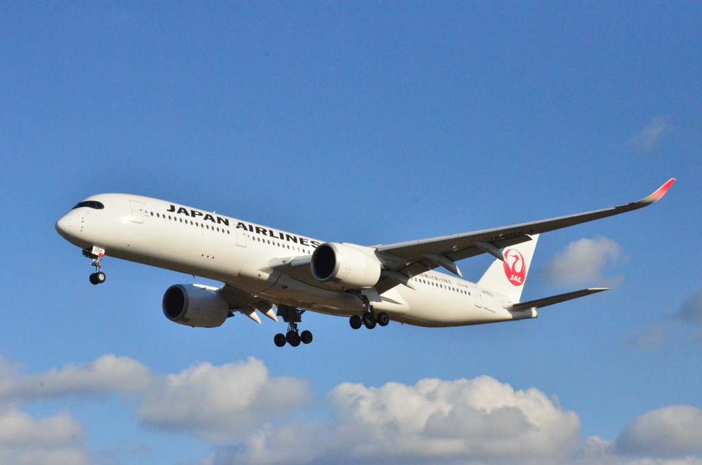A350 JAL 29
