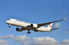 A350 JAL 29