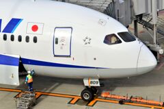 ANA 438