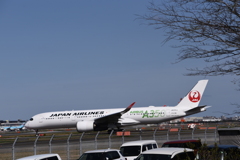 JAL 1291