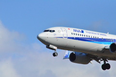ANA 137