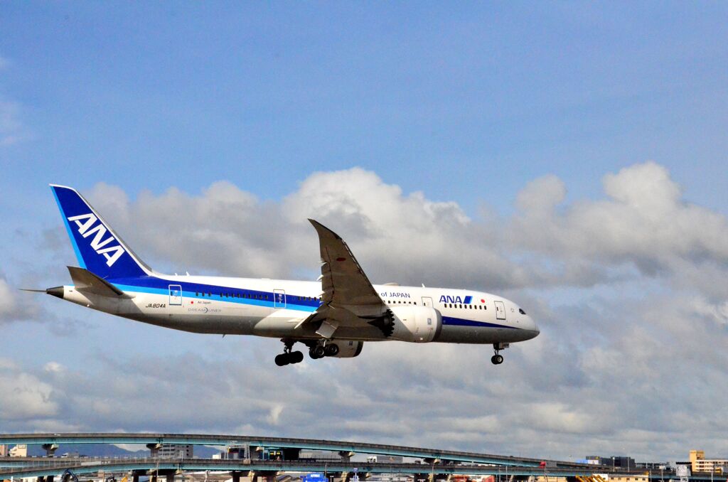 ANA 174