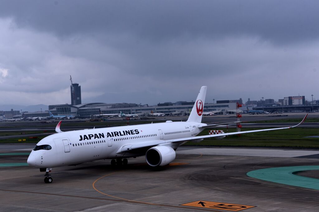 JAL 1133