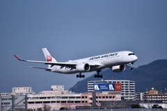 JAL 775