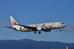 JAL 525