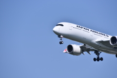 JAL 595