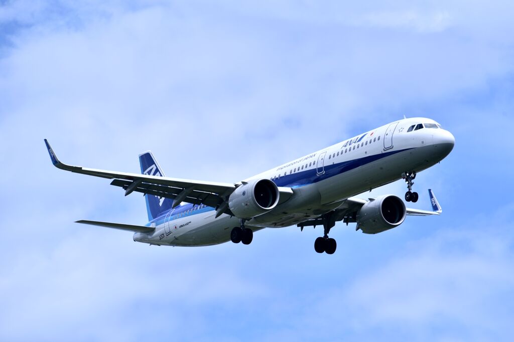 ANA 594
