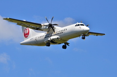 JAL 316