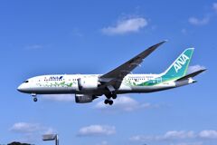 ANA 776