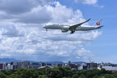JAL 1017