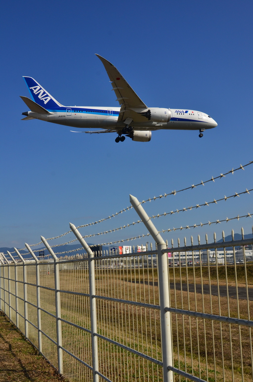 ANA 391