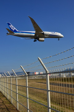 ANA 391