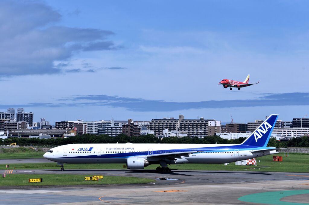ANA 979