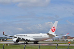 JAL 133