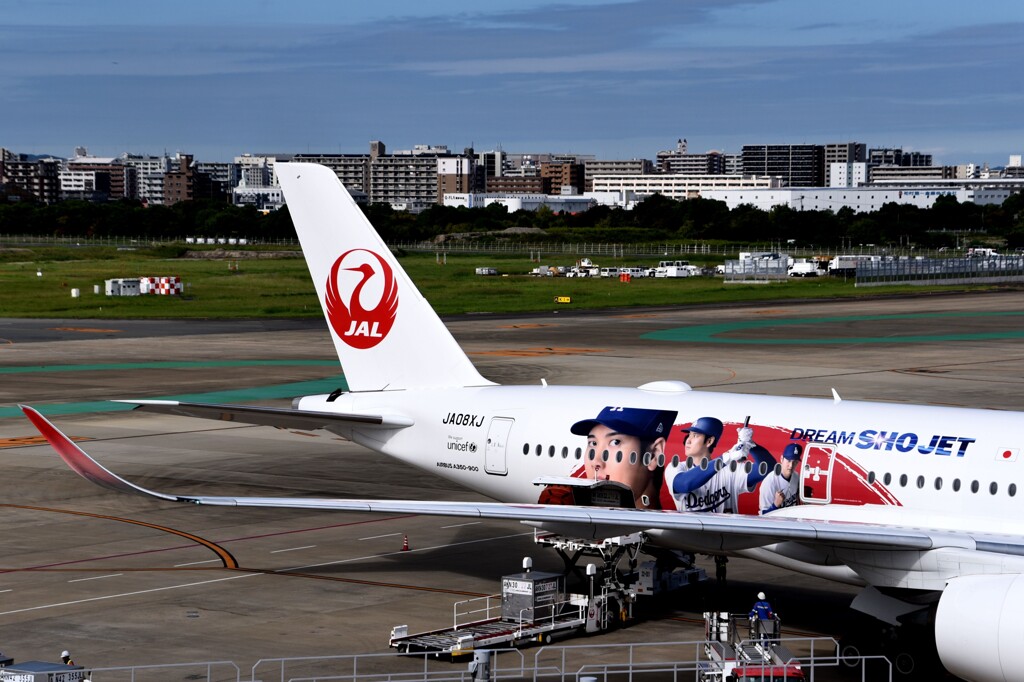 JAL 1293「DREAM　SHOJET」（大谷JET）