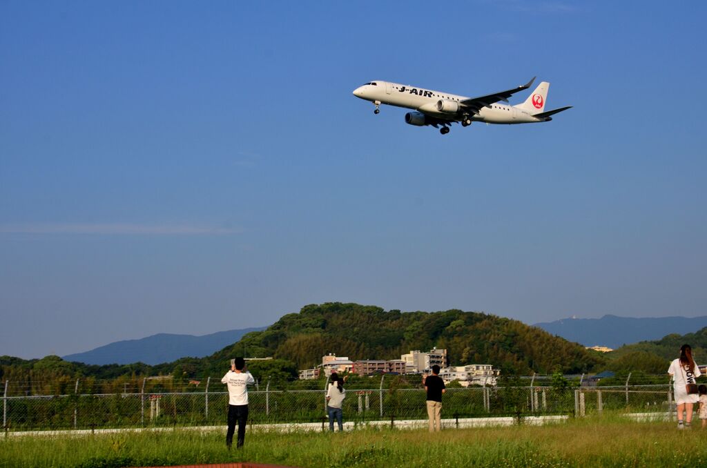 JAL 145