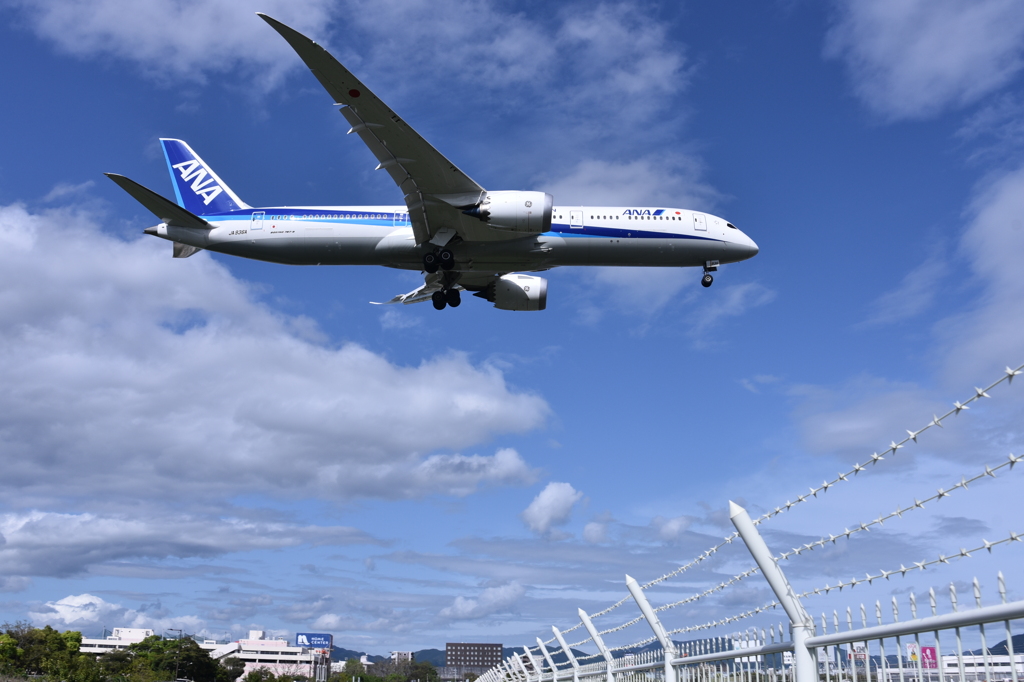 ANA 506