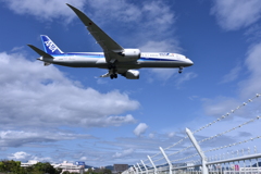ANA 506