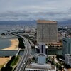 忘れな草　131