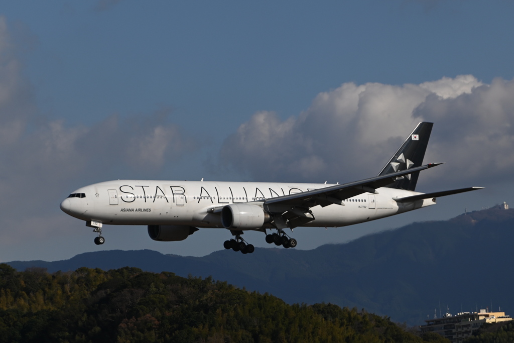 「山の木の数 星の数」（NO 1731）