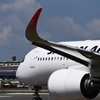 JAL 1260