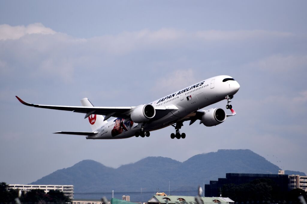 JAL 1314
