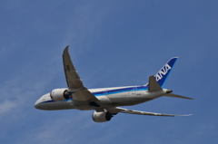 ANA 485