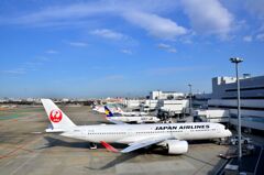 JAL 481