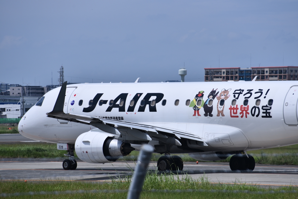 JAL 728