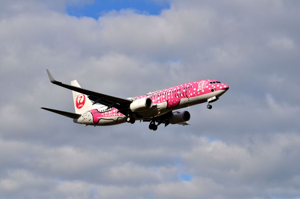 JAL 378