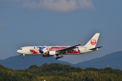 JAL 358