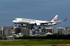 JAL 1355