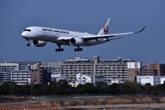 JAL 850