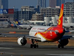 「猫が苦手です」（＾＾；       NO1759