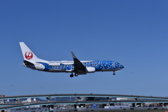 JAL 938