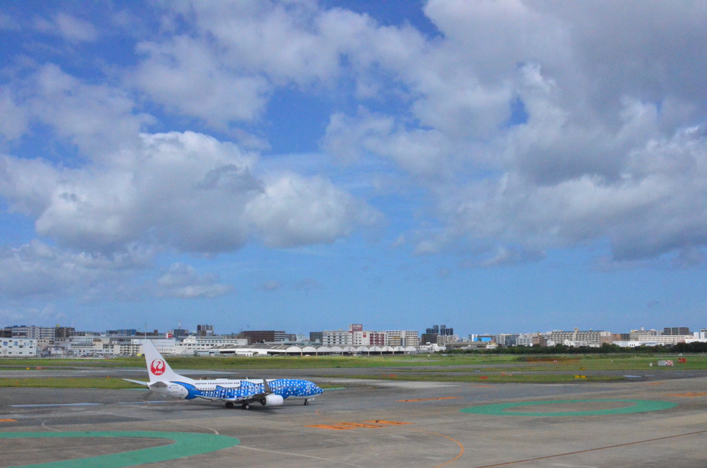 JAL 147