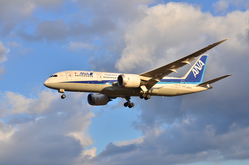 ANA  421
