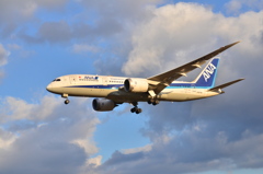 ANA  421