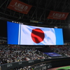 らんだむ。らんだむ。ラン！ラン！ラン！その百「日の丸」