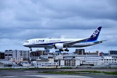 ANA 895