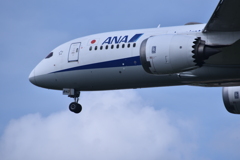 ANA 576