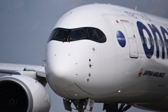JAL 1312