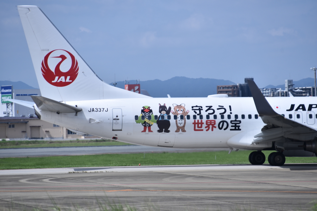 JAL 721