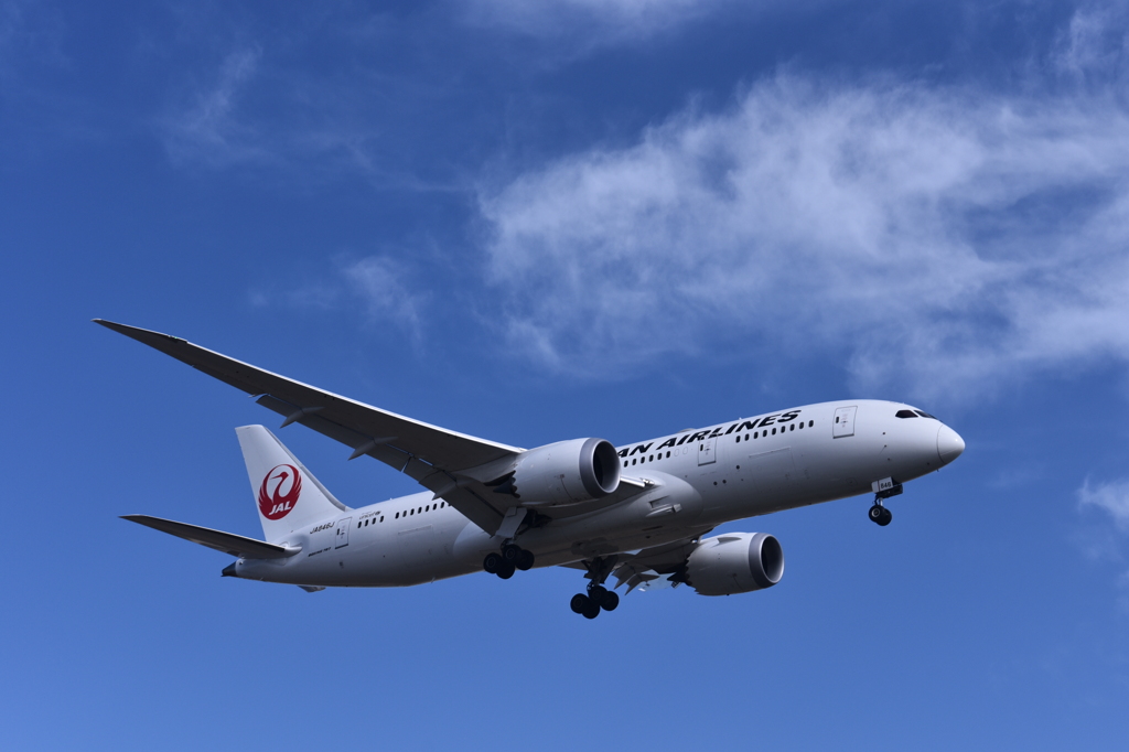 JAL 782