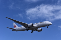 JAL 782