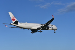 JAL 656