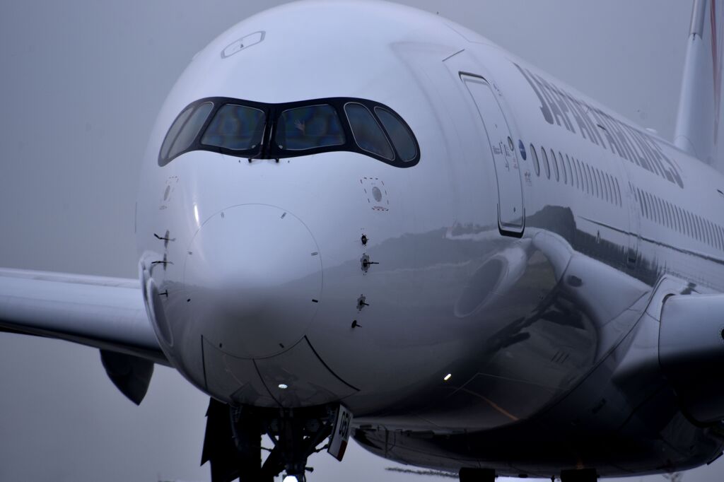JAL 974