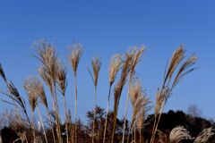 「神様がくれたシナリオ」01