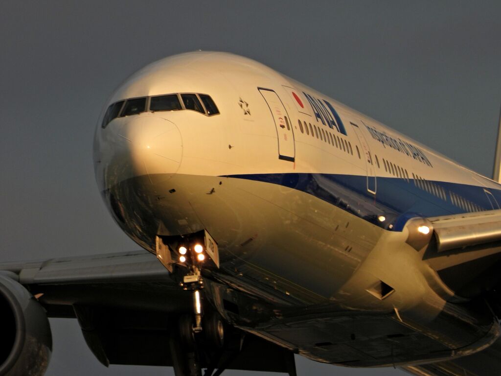 ANA 1320